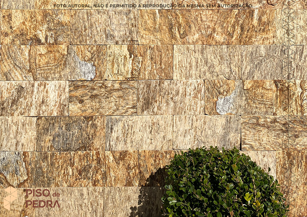 Muro com pedra Madeira Amarela
