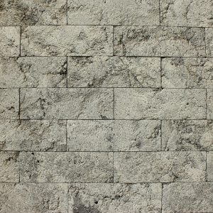 Brick Marble Venice Gray 8×24